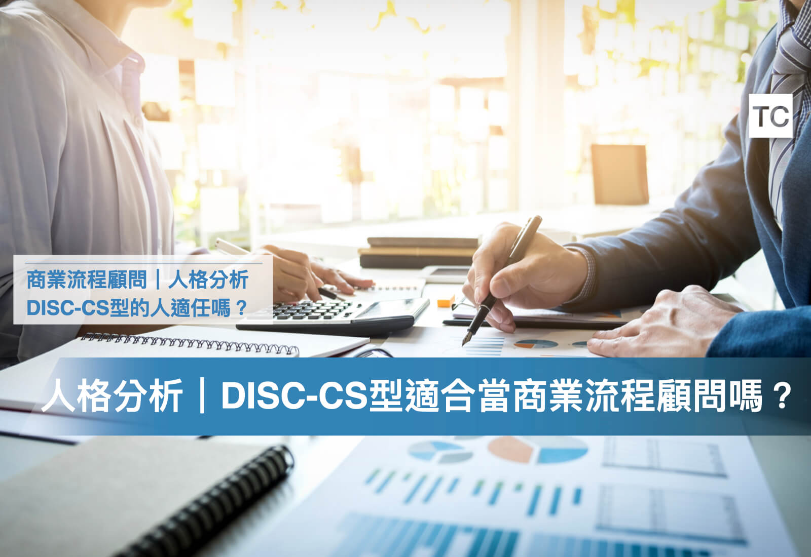 商業流程顧問｜人格特質解析，DISC-CS(貓頭鷹/無尾熊)型，該如何勝任工作/實習內容？